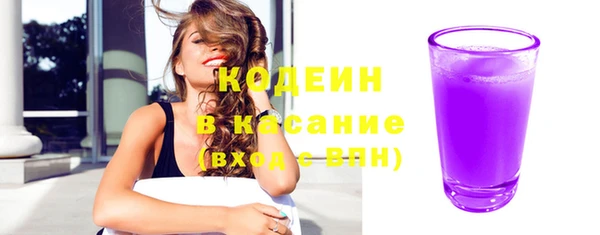 индика Волосово