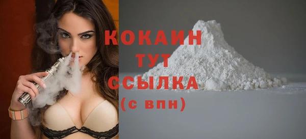 индика Волосово