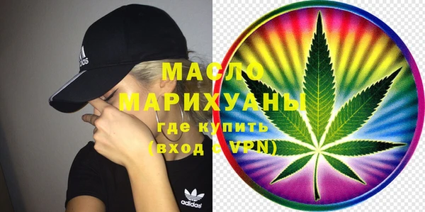 индика Волосово