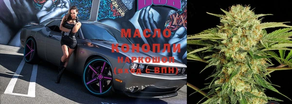 индика Волосово