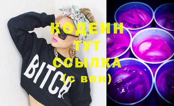 индика Волосово