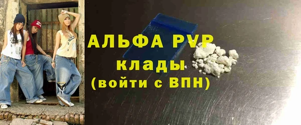 индика Волосово